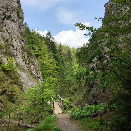Domek Trzy Doliny Zakopane, Three Valleys Chalet With Jacuzzi Exterior photo