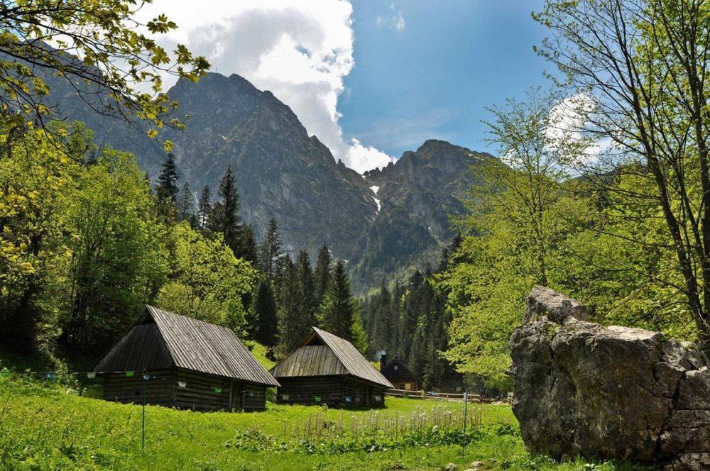 Domek Trzy Doliny Zakopane, Three Valleys Chalet With Jacuzzi Exterior photo